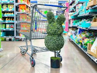 my texas house topiary walmart 4