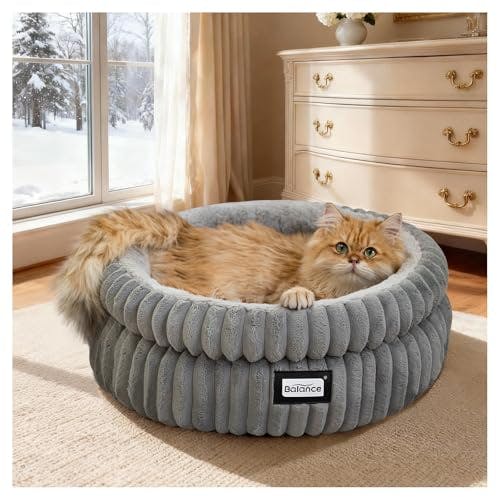 BALANCE Cat Bed