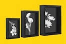 Set of three picture frames. 