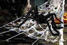 Fake large spider on web