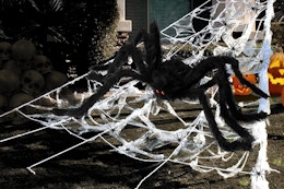Giant Spider and Web Halloween Decoration, Just $13.99 on Amazon card image