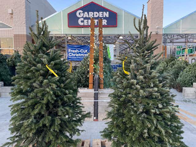 How to Get Free Christmas Tree Delivery at Lowe's & More Stores card image