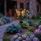 Butterfly Solar Lights