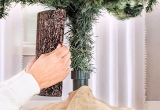 jane-fake-tree-cover-dec-2022-1