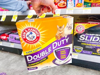 hand holding arm and hammer double duty cat litter at walgreens