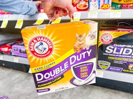 hand holding arm and hammer double duty cat litter at walgreens