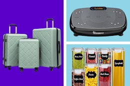 luggage set, vibration plate, and food storage set