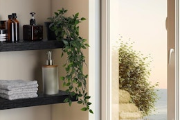 Wall Mounted Floating Shelves