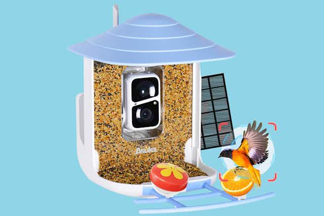 Smart Bird Feeder With Camera, Just $69.34 on Amazon card image