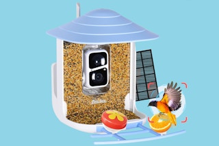 smart bird feeder