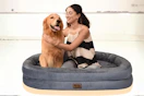 Dog Bed Amazon