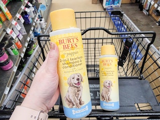 burt's bees puppy shampoo