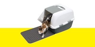 cat litter box mat under a litter box