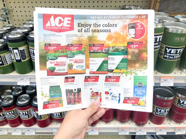 Ace Hardware Labor Day Deals to Expect in 2023 & How to Save card image