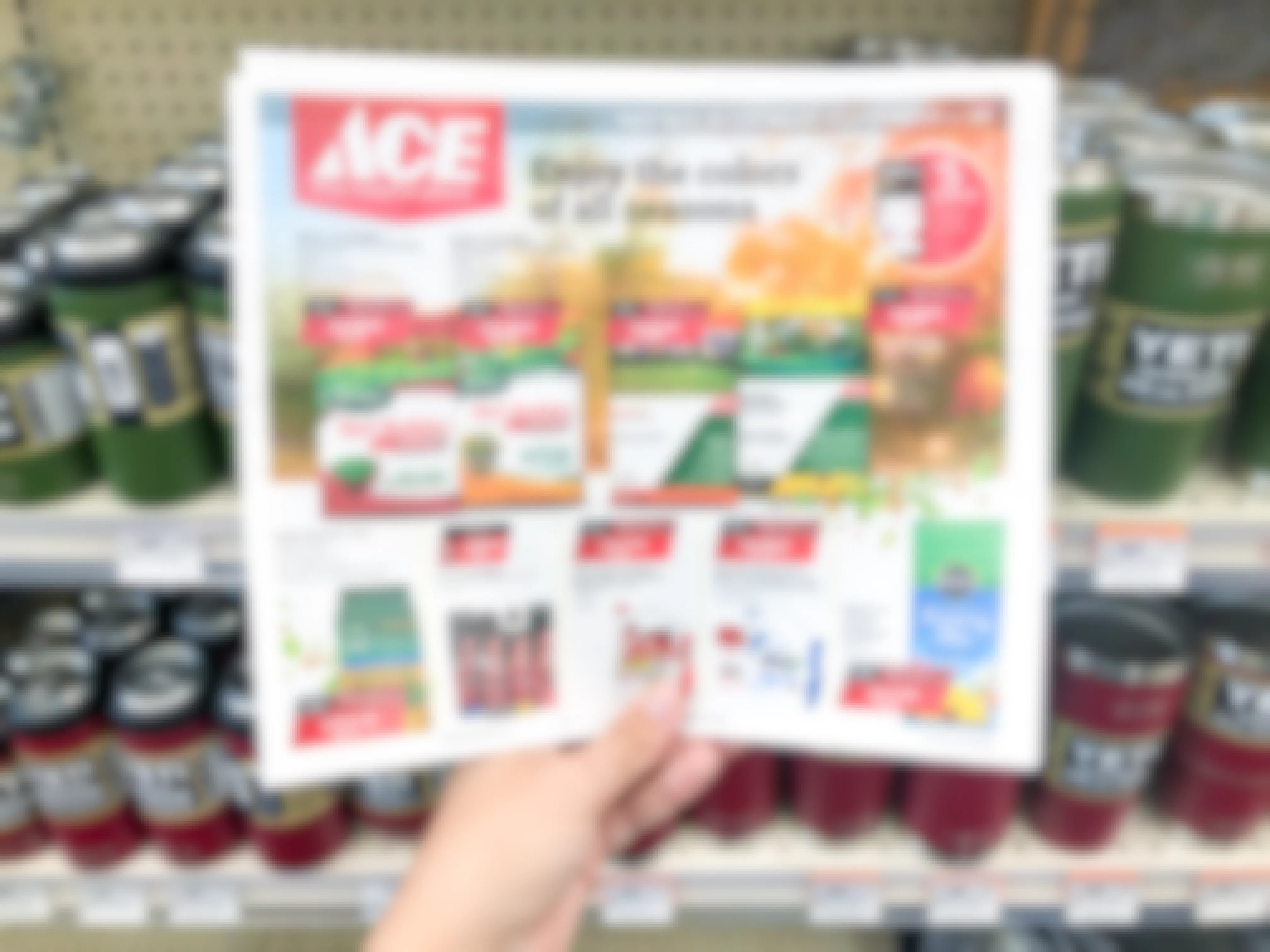 Ace Hardware Labor Day Deals to Expect in 2023 & How to Save
