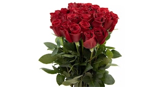 bouquet of red roses