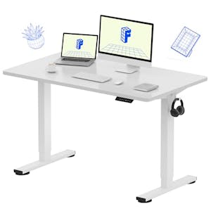 FLEXISPOT 48" Electric Standing Desk