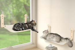 Cat Window Perch 2-Pack, Only $19.79 With Amazon Promo Code card image