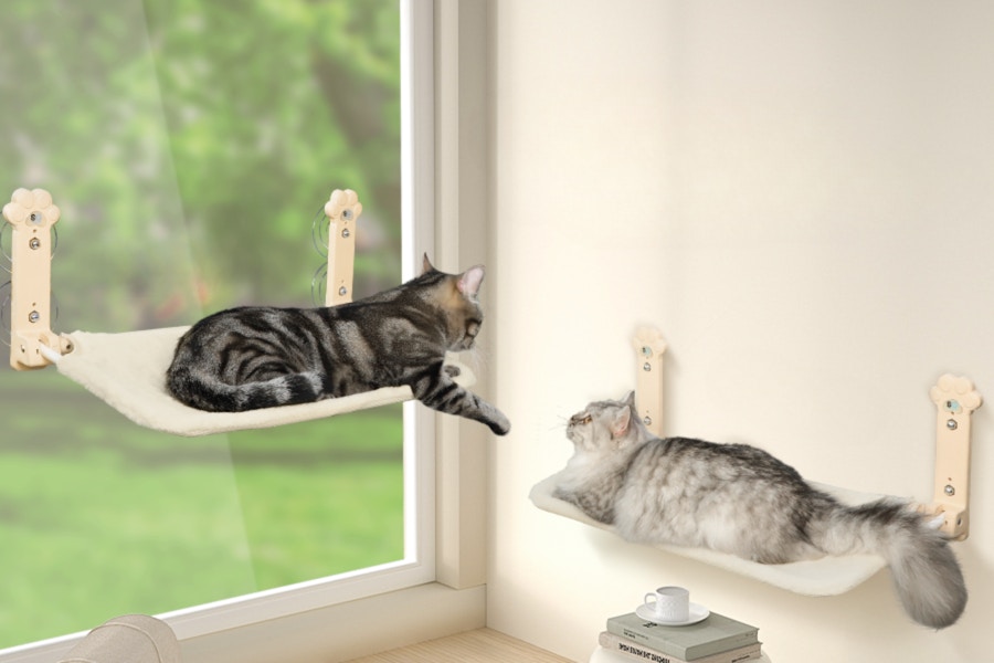 cat window perch Amazon
