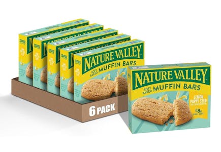 Nature Valley Snack Bars 6-Pack