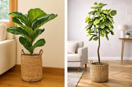 2 lifestyle images of LCG Florals fake trees in woven basket planters