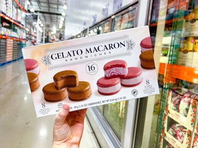 Gelato Macaron Sandwiches