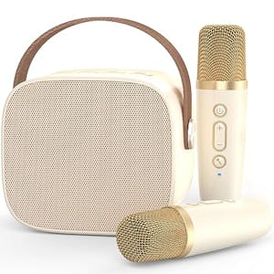 Karaoke Machine with 2 Mics