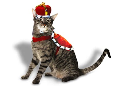 King Cat Halloween Costume