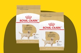 two bags of dog food