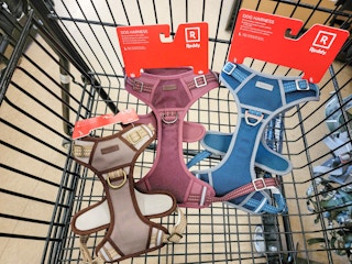 dog harnesses in a cart