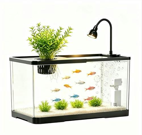Hydroponic Fish Tank