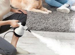 Multisurface Steam Cleaner, Just $19.99 on Amazon card image