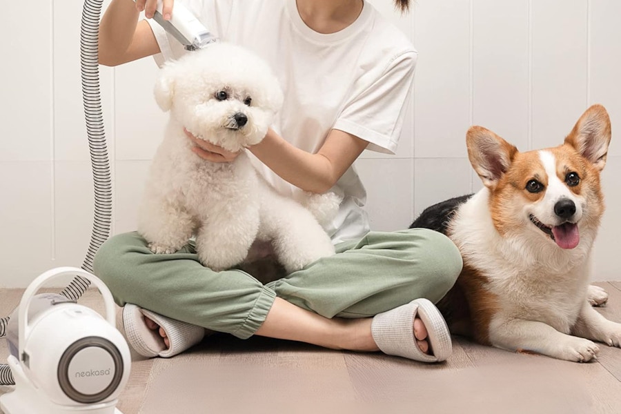 Pro Pet Grooming Kit.png