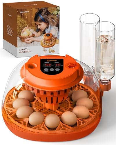 12-Egg Incubator