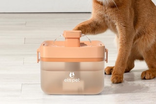 cat using a water fountain