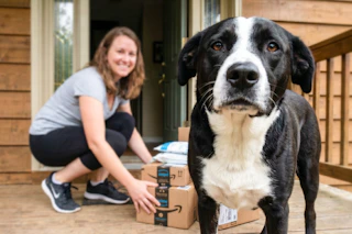 amazon-pet-day-26-7