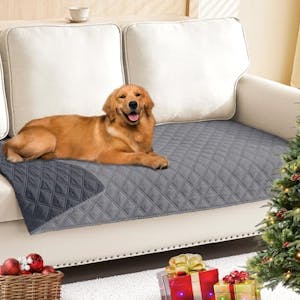 Pet Waterproof Sofa Cover