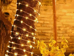 Solar Rope Light, Now $8.99 on Amazon card image