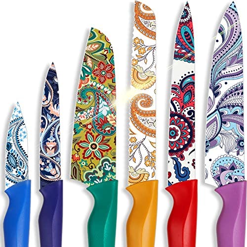 Astercook Paisley Knife Set