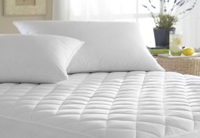 Alwyn Home Mattress Pad