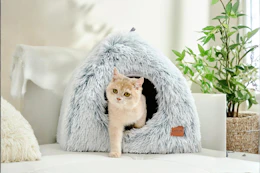Cat Cave Bed B09CGL5NTK