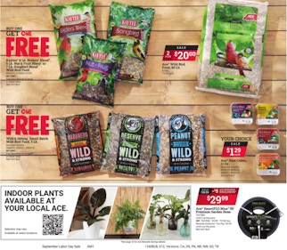 Ad Scan Image
