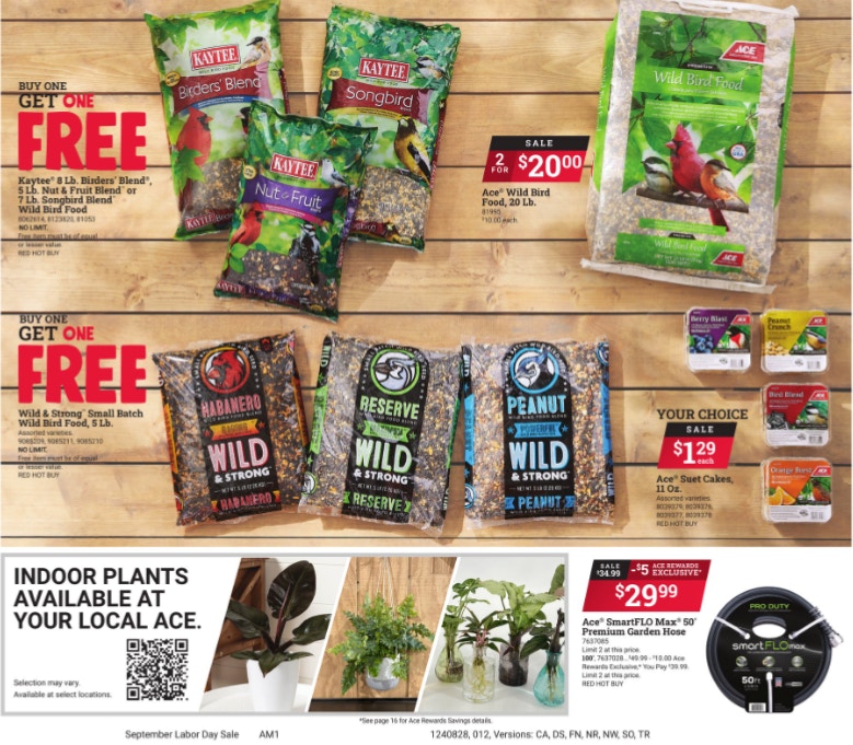 Ad Scan Image