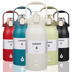 Insulated Water Bottle