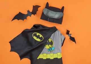 petco-halloween-costumes-102121k