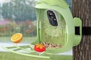 smart bird feeder