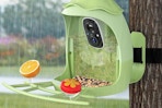 smart bird feeder