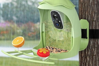 smart bird feeder