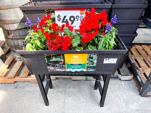Raised Garden Bed, $49.98 at Lowe's for a Limited Time card image