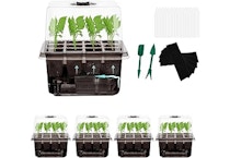 Self-Watering Seed Starter Trays